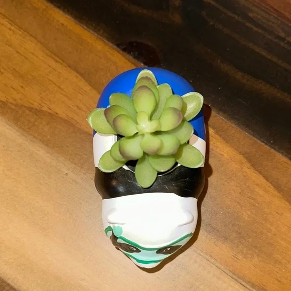 LIMITED TIME $5 ITEM!! Panda Succulent Planter - Black, White, Blue - Picture 3 of 3